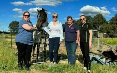 Grant Recipient – Albury Wodonga Equestrian Centre